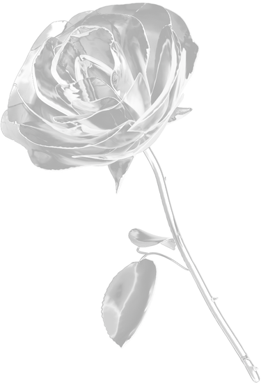 3D Y2K Chrome Rose